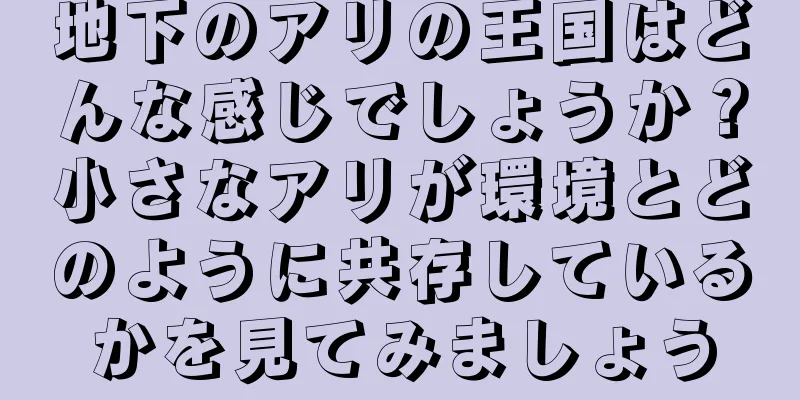 地下のアリの王国はどんな感じでしょうか？小さなアリが環境とどのように共存しているかを見てみましょう