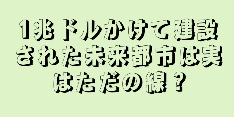 1兆ドルかけて建設された未来都市は実はただの線？