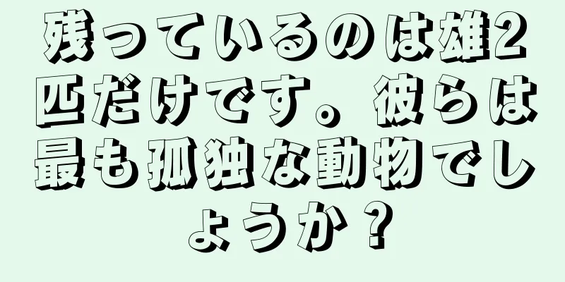 残っているのは雄2匹だけです。彼らは最も孤独な動物でしょうか？