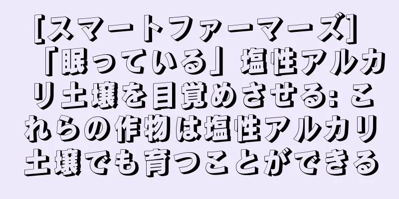[スマートファーマーズ] 「眠っている」塩性アルカリ土壌を目覚めさせる: これらの作物は塩性アルカリ土壌でも育つことができる