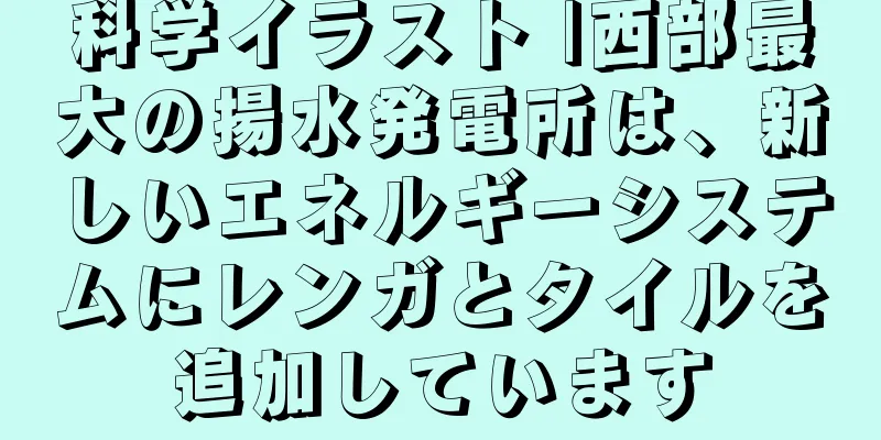 科学イラスト |西部最大の揚水発電所は、新しいエネルギーシステムにレンガとタイルを追加しています