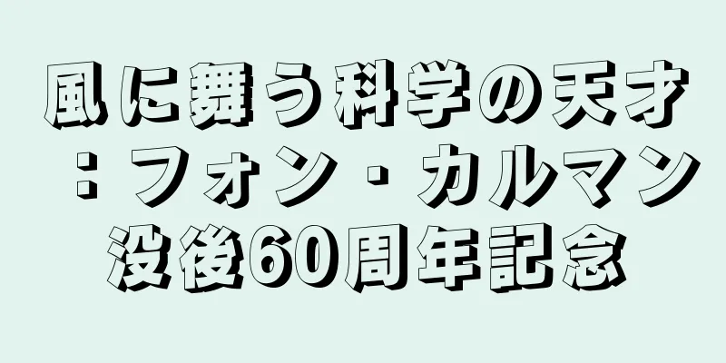 風に舞う科学の天才：フォン・カルマン没後60周年記念