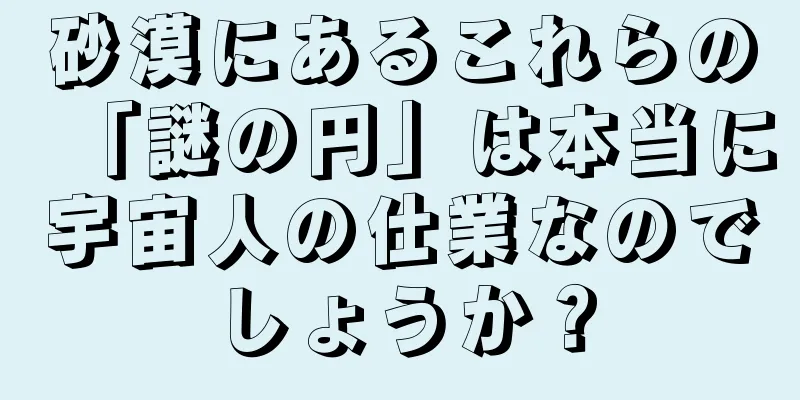 砂漠にあるこれらの「謎の円」は本当に宇宙人の仕業なのでしょうか？