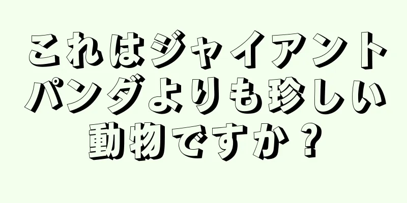 これはジャイアントパンダよりも珍しい動物ですか？