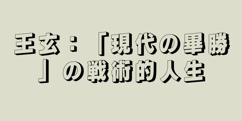 王玄：「現代の畢勝」の戦術的人生