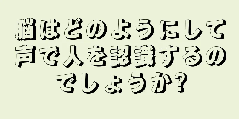 脳はどのようにして声で人を認識するのでしょうか?