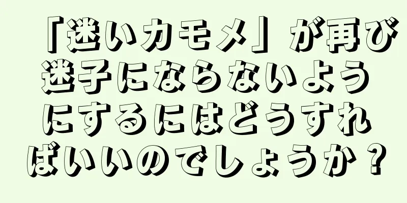 「迷いカモメ」が再び迷子にならないようにするにはどうすればいいのでしょうか？