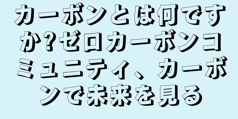 カーボンとは何ですか?ゼロカーボンコミュニティ、カーボンで未来を見る
