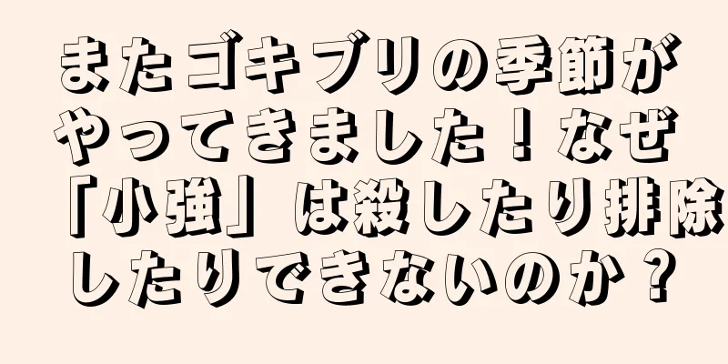 またゴキブリの季節がやってきました！なぜ「小強」は殺したり排除したりできないのか？