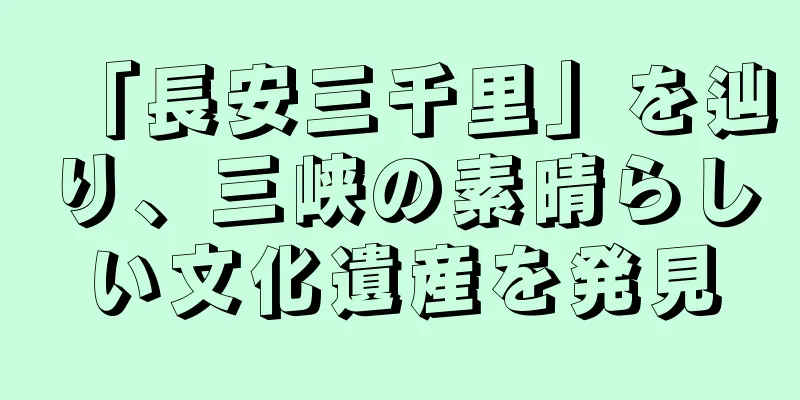 「長安三千里」を辿り、三峡の素晴らしい文化遺産を発見