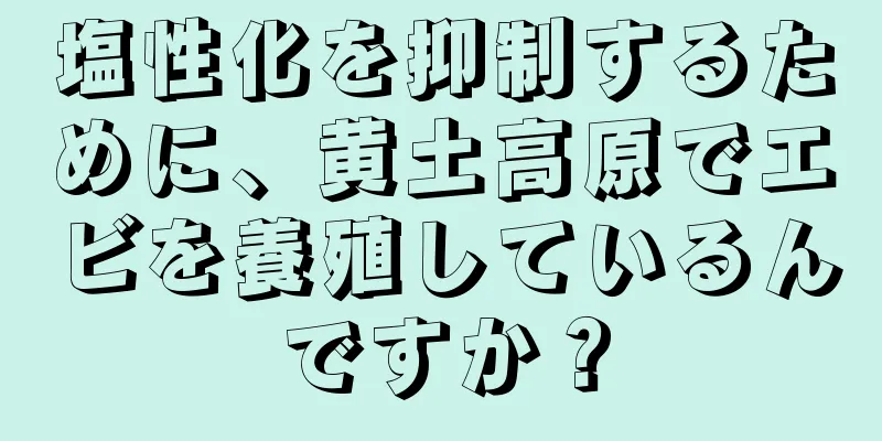 塩性化を抑制するために、黄土高原でエビを養殖しているんですか？