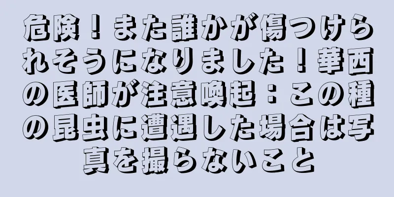 危険！また誰かが傷つけられそうになりました！華西の医師が注意喚起：この種の昆虫に遭遇した場合は写真を撮らないこと