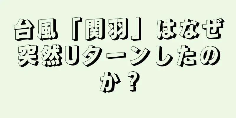 台風「関羽」はなぜ突然Uターンしたのか？