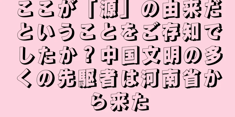 ここが「源」の由来だということをご存知でしたか？中国文明の多くの先駆者は河南省から来た