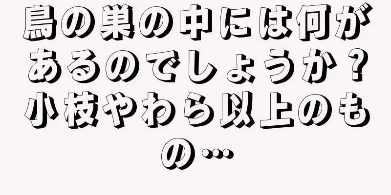 鳥の巣の中には何があるのでしょうか？小枝やわら以上のもの…