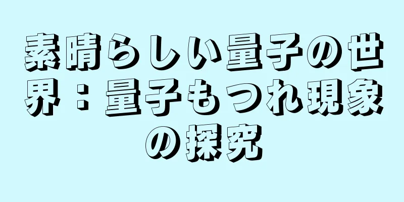 素晴らしい量子の世界：量子もつれ現象の探究