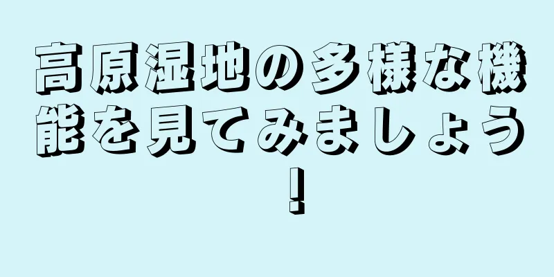 高原湿地の多様な機能を見てみましょう！