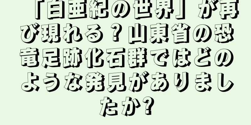 「白亜紀の世界」が再び現れる？山東省の恐竜足跡化石群ではどのような発見がありましたか?
