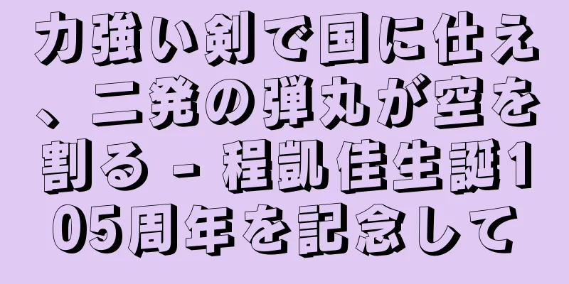 力強い剣で国に仕え、二発の弾丸が空を割る - 程凱佳生誕105周年を記念して