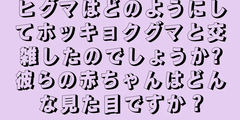 ヒグマはどのようにしてホッキョクグマと交雑したのでしょうか?彼らの赤ちゃんはどんな見た目ですか？