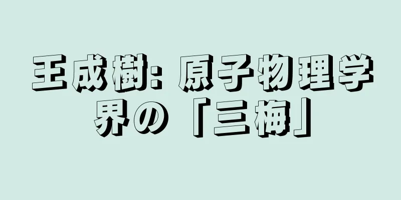 王成樹: 原子物理学界の「三梅」