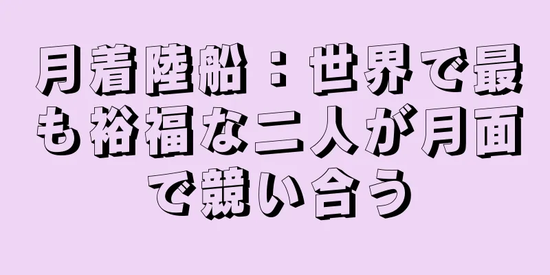 月着陸船：世界で最も裕福な二人が月面で競い合う