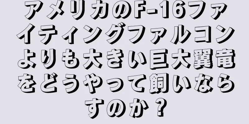 アメリカのF-16ファイティングファルコンよりも大きい巨大翼竜をどうやって飼いならすのか？