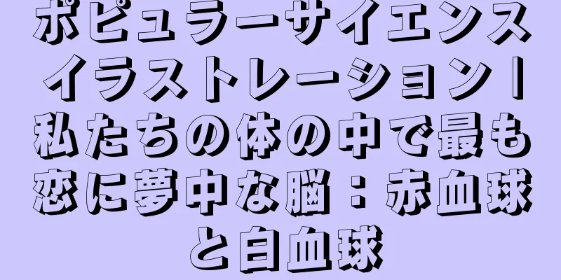 ポピュラーサイエンスイラストレーション |私たちの体の中で最も恋に夢中な脳：赤血球と白血球
