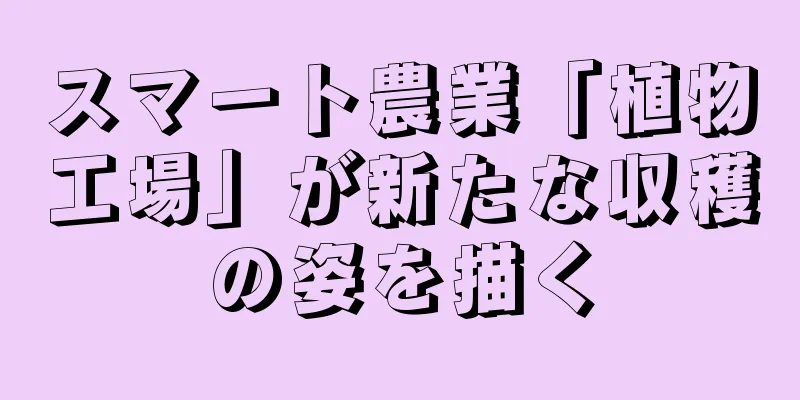スマート農業「植物工場」が新たな収穫の姿を描く