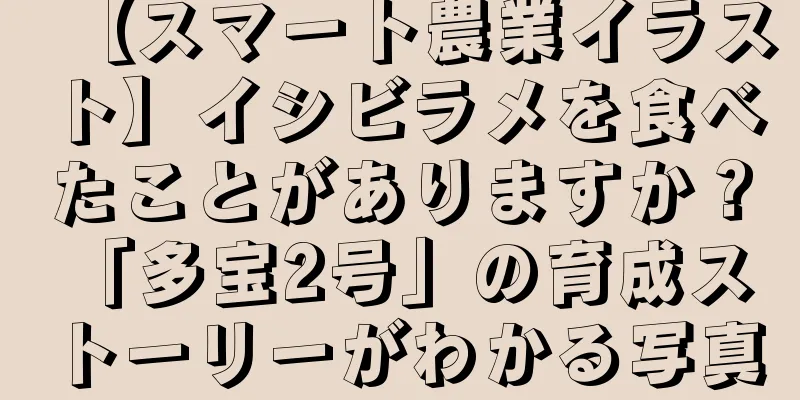 【スマート農業イラスト】イシビラメを食べたことがありますか？ 「多宝2号」の育成ストーリーがわかる写真
