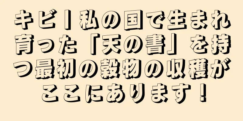 キビ丨私の国で生まれ育った「天の書」を持つ最初の穀物の収穫がここにあります！