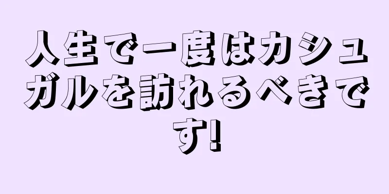 人生で一度はカシュガルを訪れるべきです!