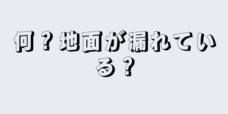 何？地面が漏れている？