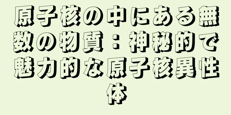 原子核の中にある無数の物質：神秘的で魅力的な原子核異性体