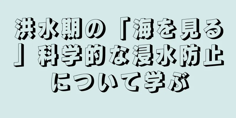 洪水期の「海を見る」科学的な浸水防止について学ぶ