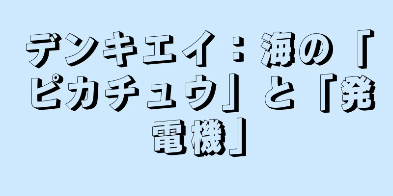 デンキエイ：海の「ピカチュウ」と「発電機」