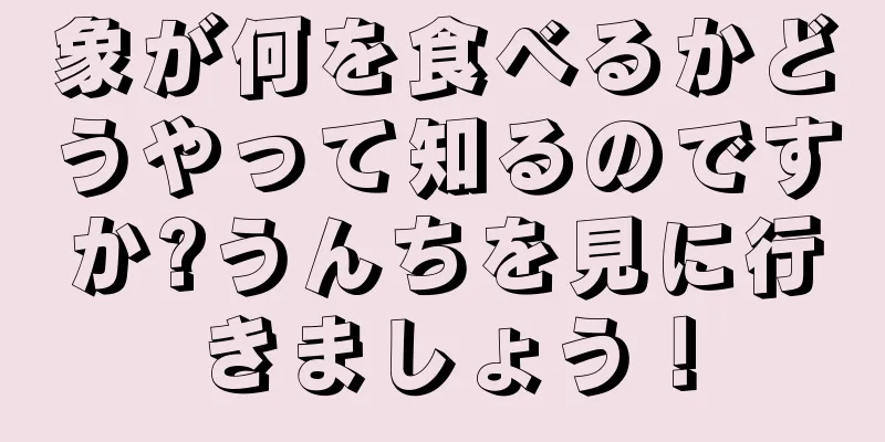 象が何を食べるかどうやって知るのですか?うんちを見に行きましょう！