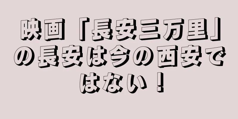 映画「長安三万里」の長安は今の西安ではない！