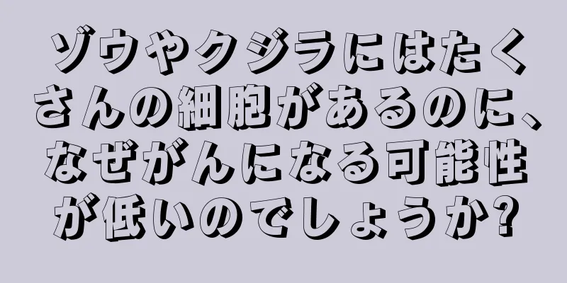 ゾウやクジラにはたくさんの細胞があるのに、なぜがんになる可能性が低いのでしょうか?