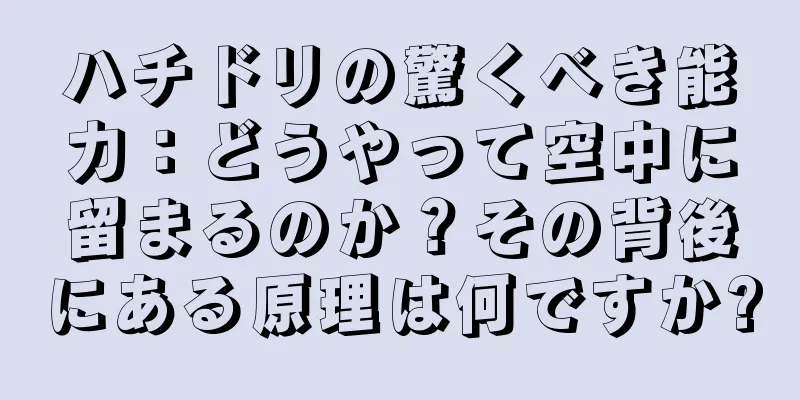 ハチドリの驚くべき能力：どうやって空中に留まるのか？その背後にある原理は何ですか?