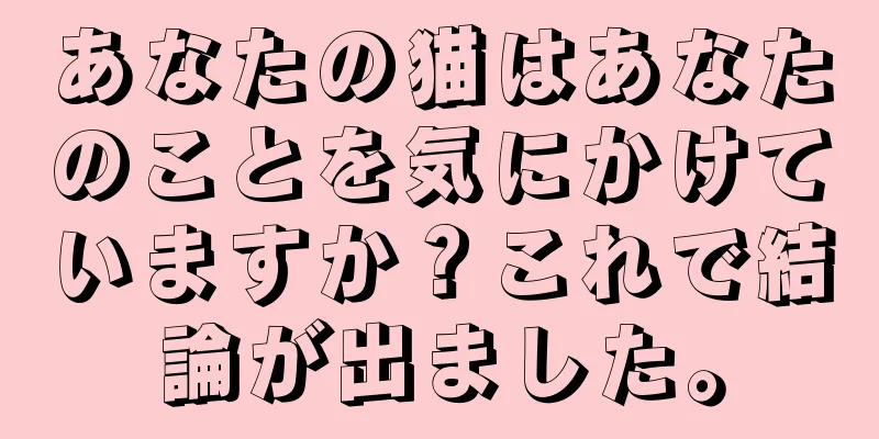 あなたの猫はあなたのことを気にかけていますか？これで結論が出ました。