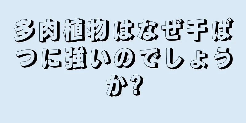 多肉植物はなぜ干ばつに強いのでしょうか?