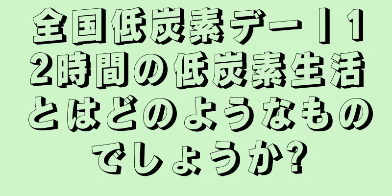 全国低炭素デー丨12時間の低炭素生活とはどのようなものでしょうか?