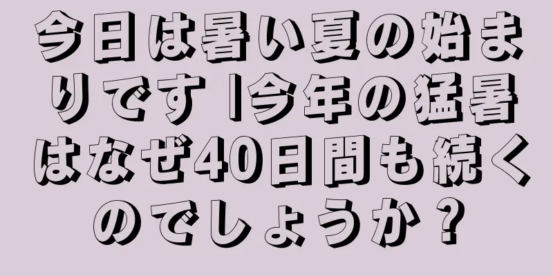 今日は暑い夏の始まりです |今年の猛暑はなぜ40日間も続くのでしょうか？