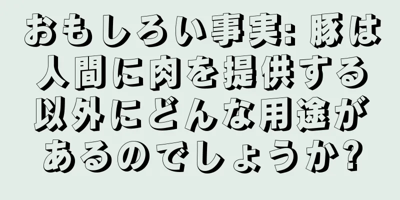 おもしろい事実: 豚は人間に肉を提供する以外にどんな用途があるのでしょうか?