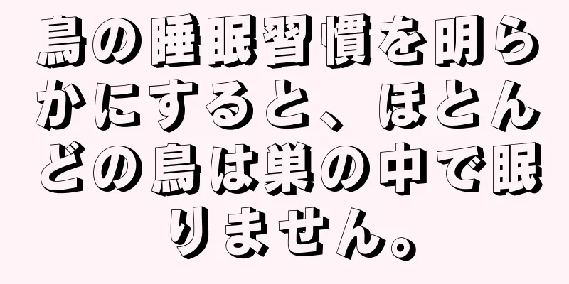 鳥の睡眠習慣を明らかにすると、ほとんどの鳥は巣の中で眠りません。