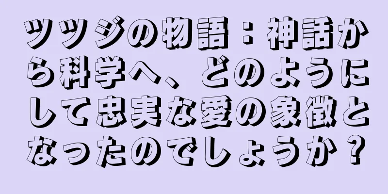 ツツジの物語：神話から科学へ、どのようにして忠実な愛の象徴となったのでしょうか？