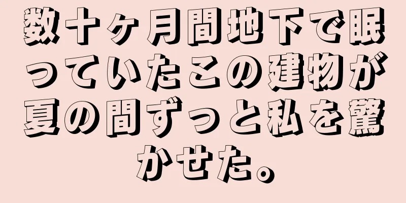 数十ヶ月間地下で眠っていたこの建物が夏の間ずっと私を驚かせた。