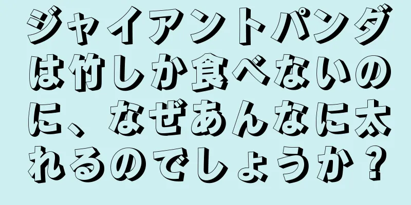 ジャイアントパンダは竹しか食べないのに、なぜあんなに太れるのでしょうか？