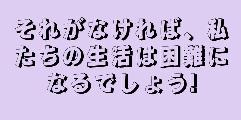 それがなければ、私たちの生活は困難になるでしょう!